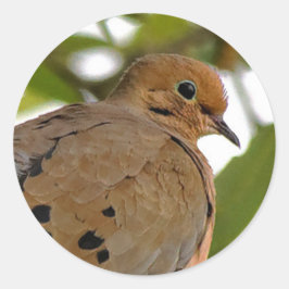 Mourning Dove Ronde Sticker