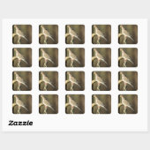 Mourning Dove Sticker (Vel)