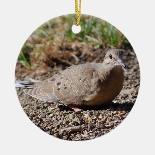 Mourning Dove-versiering Keramisch Ornament (Voorkant)