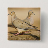Mourning Dove Vierkante Button 5,1 Cm (Voorkant)