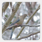 Mourning Dove Vierkante Sticker (Voorkant)