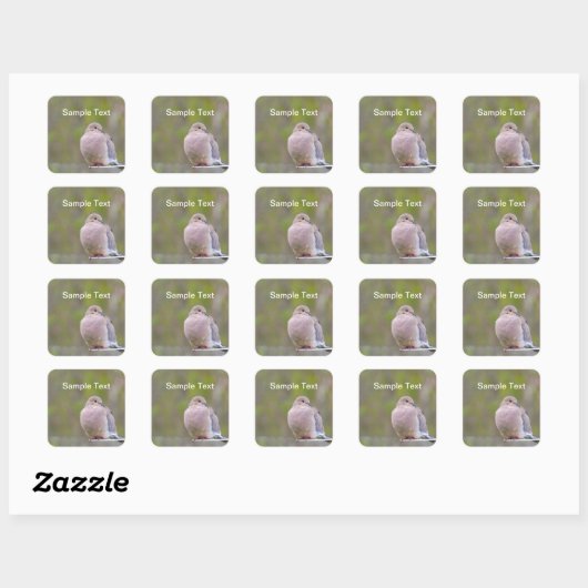 Mourning Dove Vierkante Sticker (Vel)
