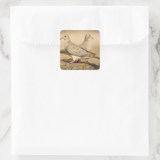 Mourning Dove Vierkante Sticker (Tas)