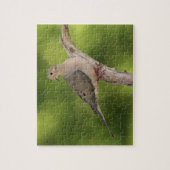 Mourning Dove, Zenaida macroura Legpuzzel (Verticaal)