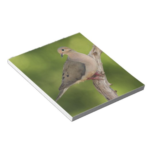 Mourning Dove, Zenaida macroura Notitieblok (Schuin)