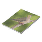 Mourning Dove, Zenaida macroura Notitieblok (Linkerzijde)
