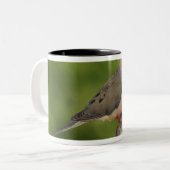 Mourning Dove, Zenaida macroura Tweekleurige Koffiemok (Voorkant links)