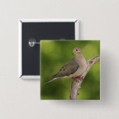 Mourning Dove, Zenaida macroura Vierkante Button 5,1 Cm (Voorkant /achterkant)