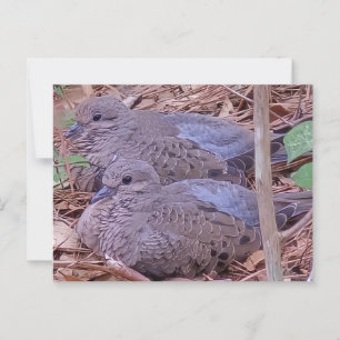 Mourning Doves Briefkaart