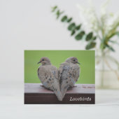 Mourning Doves Briefkaart (Staand voorkant)