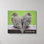 Mourning Doves Canvas Afdruk (Voorkant)