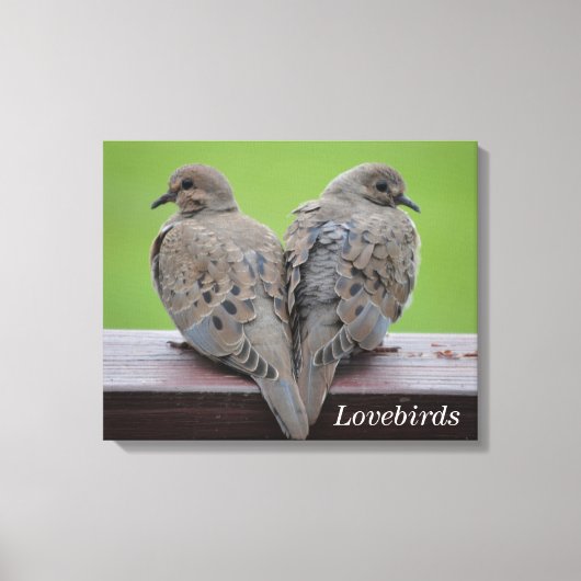 Mourning Doves Canvas Afdruk (Voorkant)