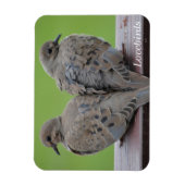 Mourning Doves Magneet (Verticaal)