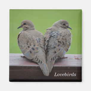 Mourning Doves Magneet
