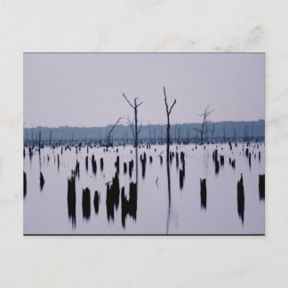 "Mourning Morning" - Briefkaart