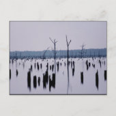 "Mourning Morning" - Briefkaart (Voorkant)