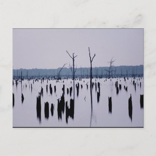 "Mourning Morning" - Briefkaart (Voorkant)