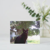 Mouschi Briefkaart (Staand voorkant)