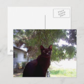 Mouschi Briefkaart (Voorkant / Achterkant)