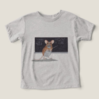 MOUSE AS A MATHEMATICIAN 