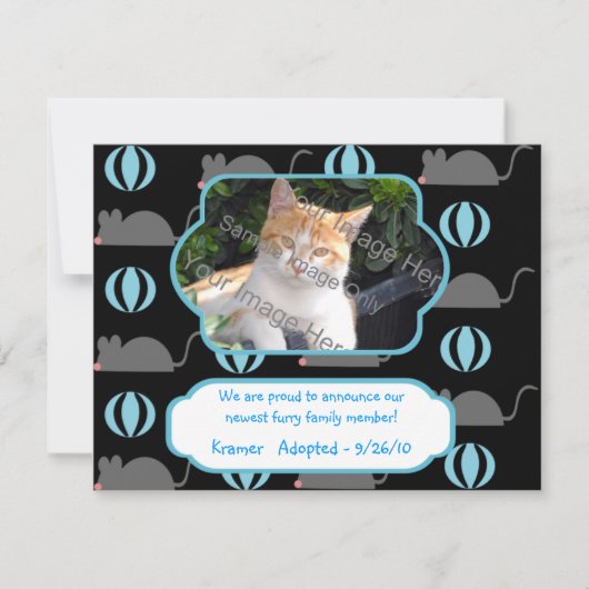 Mouse Boy Cat Adoption Photo Announcement Cards Aankondiging (Voorkant)