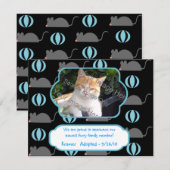 Mouse Boy Cat Adoption Photo Announcement Cards Aankondiging (Voorkant / Achterkant)