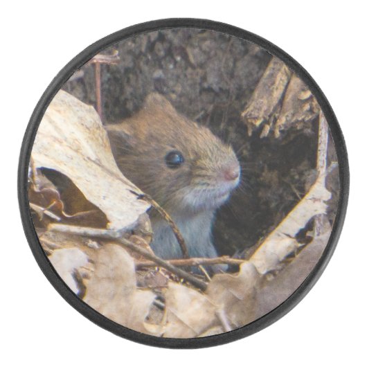 Mouse in the house hockey puck (Voorkant)