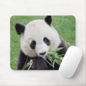 Mouse Pad Photo giant panda , animals 0261. Muismat (Met muis)