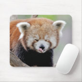 Mouse Pad Photo red panda , animals 0393. Muismat (Met muis)
