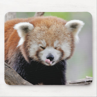 Mouse Pad Photo red panda , animals 0393. Muismat