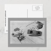 Mouse Safely Springs Mousetrap Briefkaart (Voorkant / Achterkant)