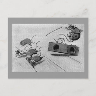 Mouse Safely Springs Mousetrap Briefkaart