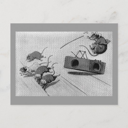 Mouse Safely Springs Mousetrap Briefkaart (Voorkant)