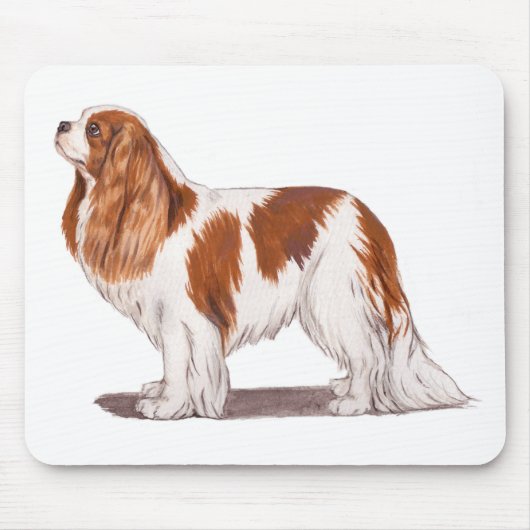 Mousemat : cavalier koning charles spaniel muismat (Voorkant)
