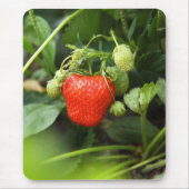 Mousepad-aardbei Muismat (Voorkant)