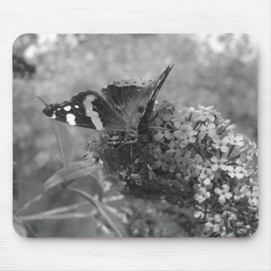 Mousepad - Admiral Butterfly in zwart-wit Muismat (Voorkant)