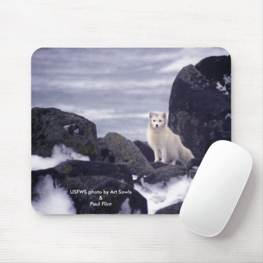 Mousepad / Arctic Fox Muismat (Met muis)
