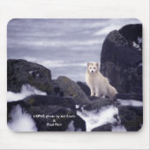 Mousepad / Arctic Fox Muismat (Voorkant)