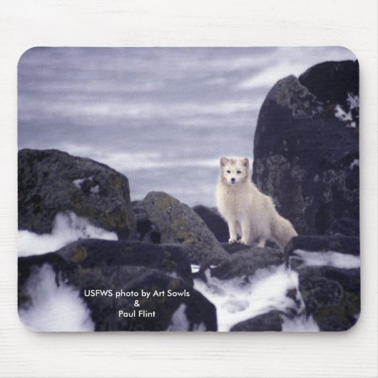 Mousepad / Arctic Fox Muismat (Voorkant)