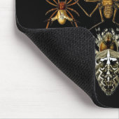 Mousepad  artiest Ernst Haeckel Arachnida Muismat (Hoek)