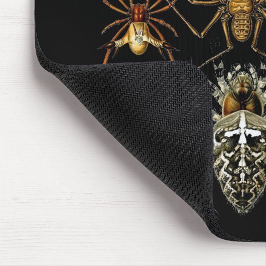 Mousepad  artiest Ernst Haeckel Arachnida Muismat (Hoek)