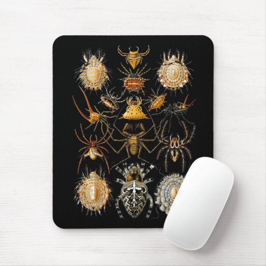 Mousepad  artiest Ernst Haeckel Arachnida Muismat (Met muis)