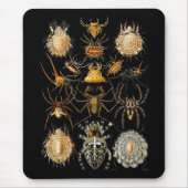 Mousepad  artiest Ernst Haeckel Arachnida Muismat (Voorkant)