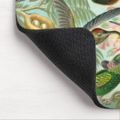 Mousepad  artiest Ernst Haeckel Trochilidae Muismat (Hoek)