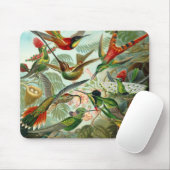 Mousepad  artiest Ernst Haeckel Trochilidae Muismat (Met muis)