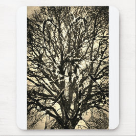 Mousepad árvore vibrante  muismat