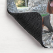 Mousepad Basset Hound Castle Ruin Visit Muismat (Hoek)