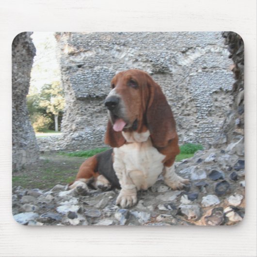 Mousepad Basset Hound Castle Ruin Visit Muismat (Voorkant)
