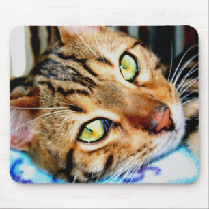 Mousepad Bengal Cat Muismat