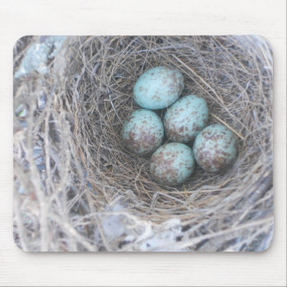 Mousepad Bird's Nest with Eggs Photography Muismat